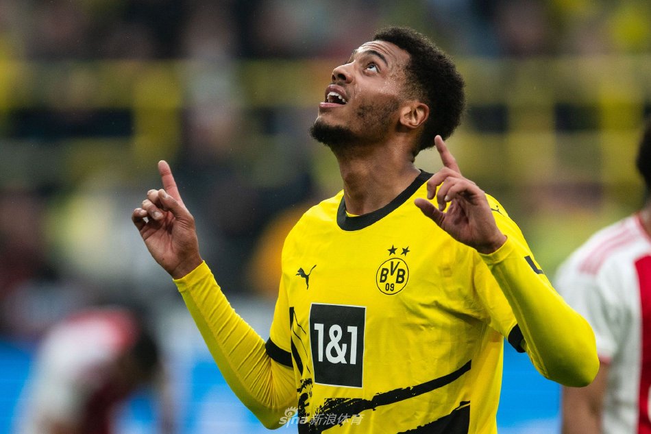 接引发了网 接引发了网